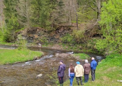 Five people are standing on the bank of a river flowing through a field of grass, with a forest in the background